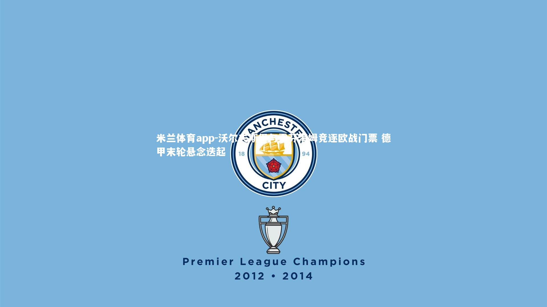 沃尔夫斯堡与霍芬海姆竞逐欧战门票 德甲末轮悬念迭起